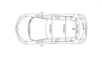 New Zoe dimensions